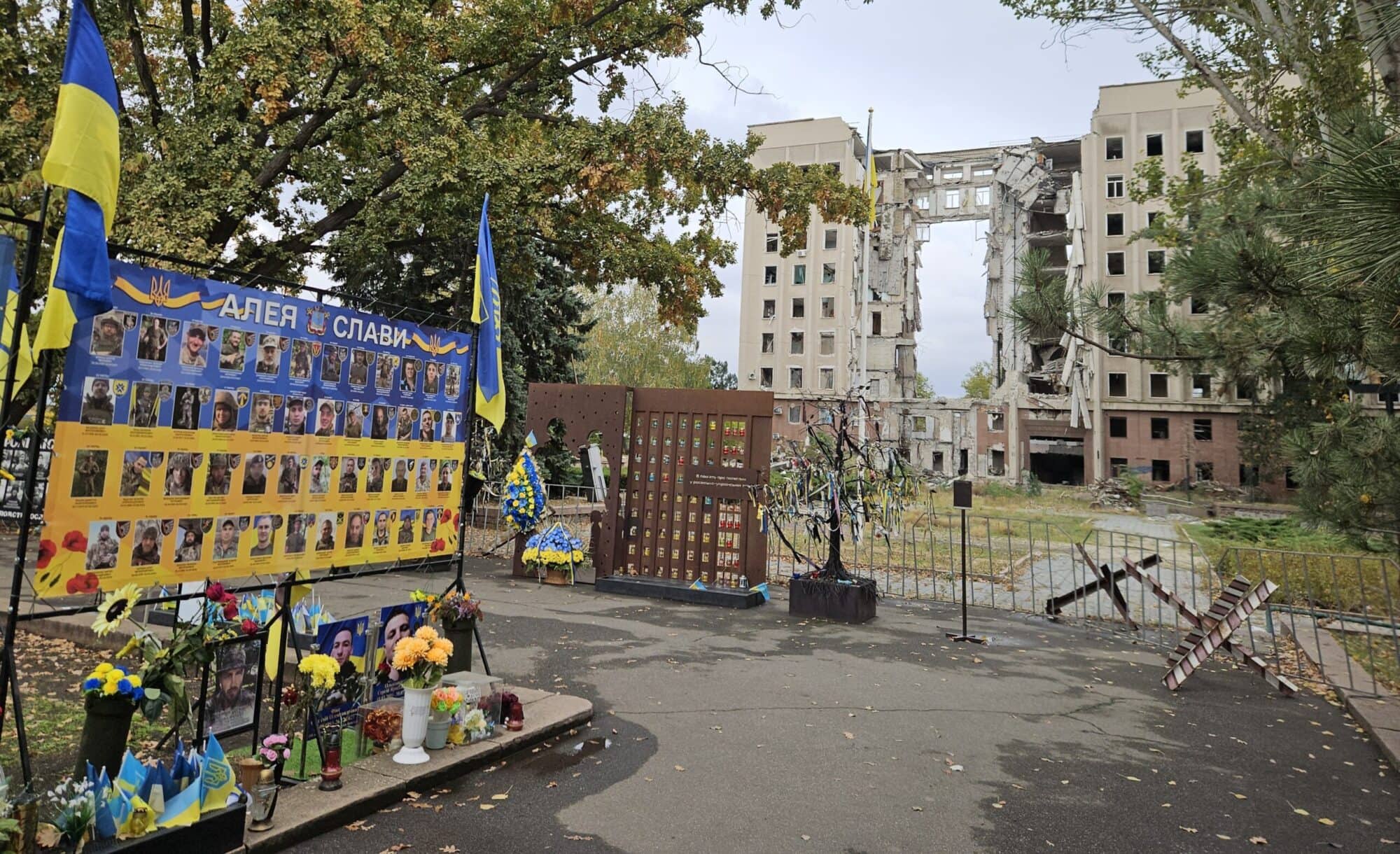 20251009_151230 edit